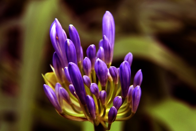 体系的革新 体系的革新