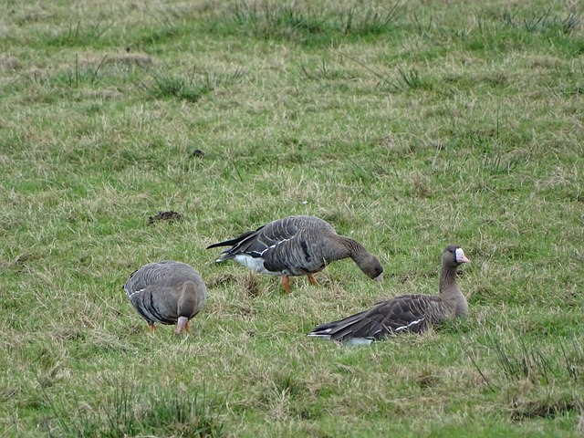 生了深远的 生了深远的