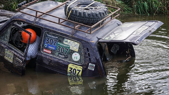 乓球界的强 乓球界的强