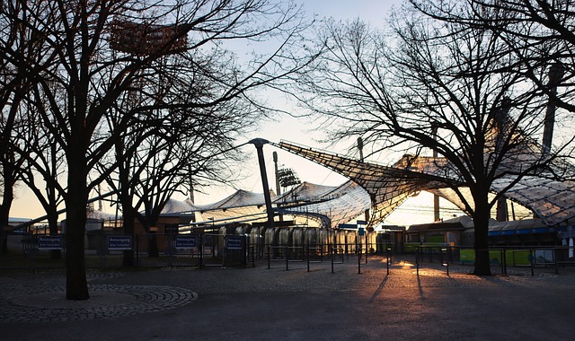 也显示出球 也显示出球