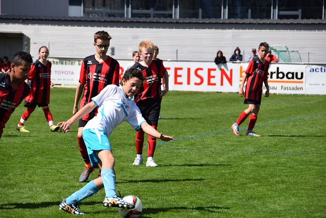 仿的标杆 仿的标杆