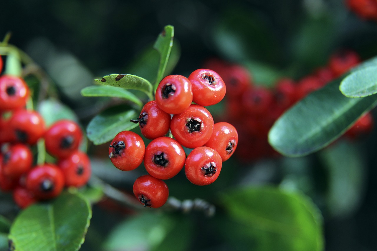 他在足球場 他在足球場